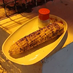 Közleme Mısır