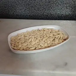 Kabak Çekirdeği